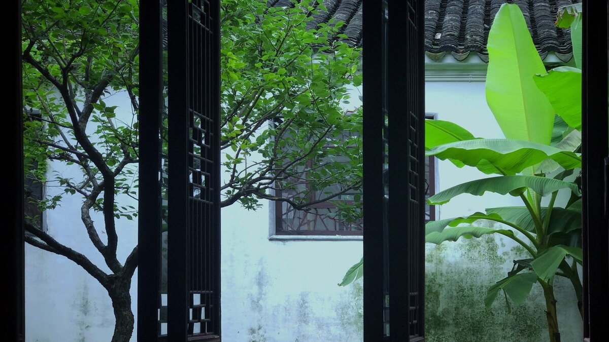 三首清新的咏芭蕉诗词,韵味悠长,美不胜收