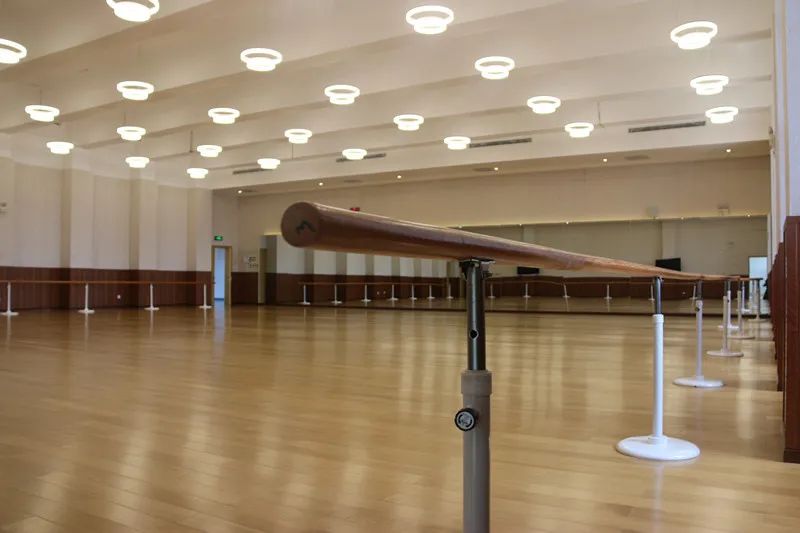 8月15日 | 仅限20组！中央美院、中央音乐学院教授招徒见面会