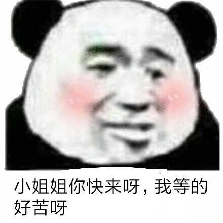 熊猫头关于小姐姐表情包合集｜我最牵挂的还是你这个小姐姐