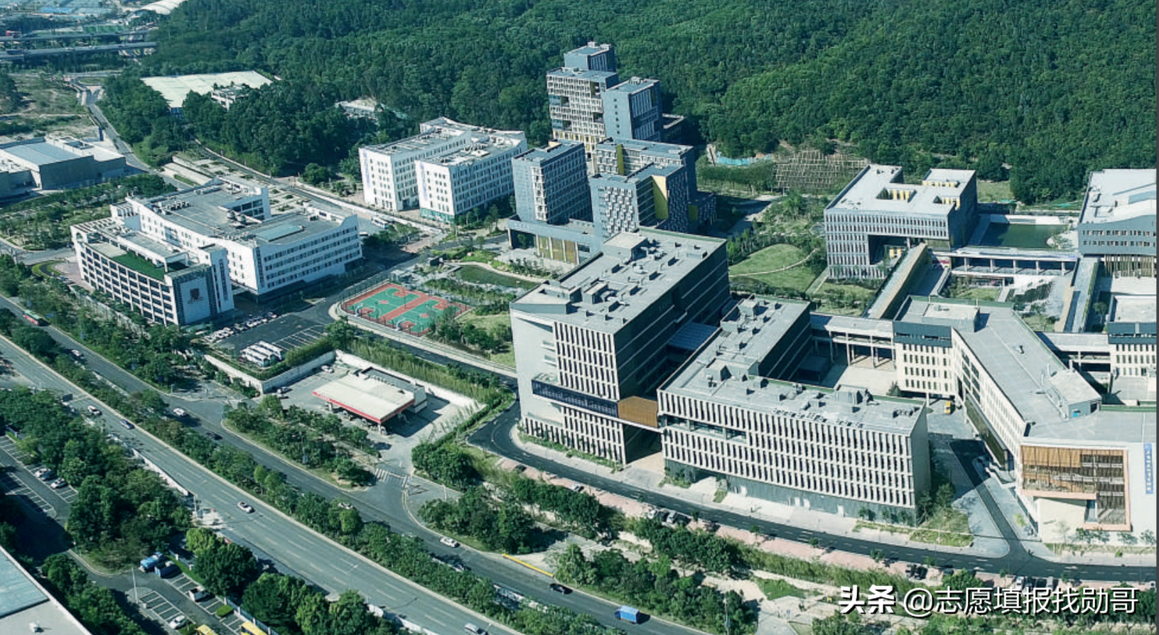 大学新校区“东南飞”成趋势，泄露了哪些秘密？