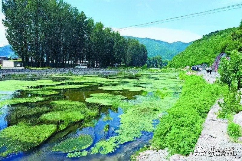 圣泉山人文举萃〔八章〕