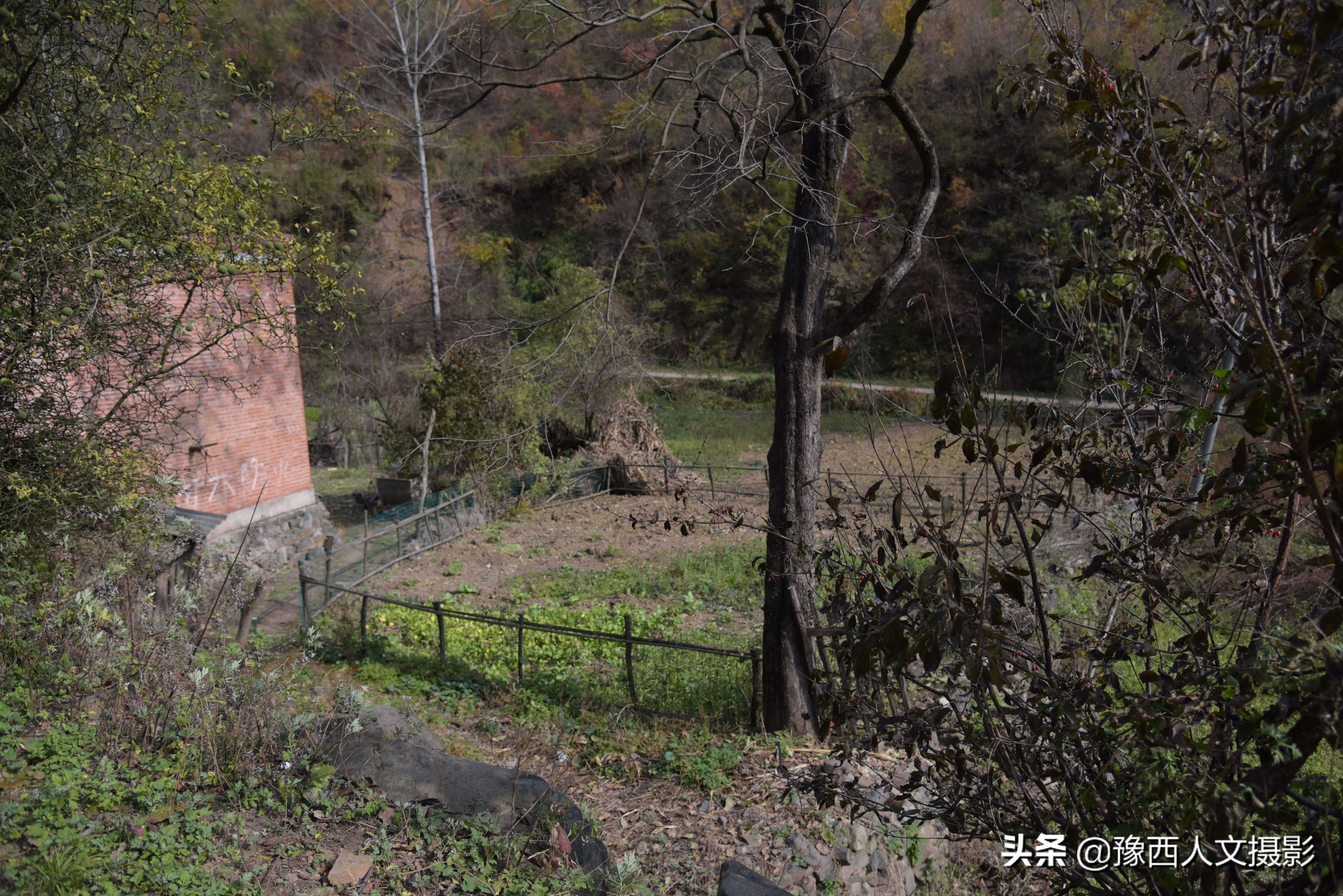 豫西深山里串门，给老两口送点小礼物，看他们拿什么招待稀罕客人