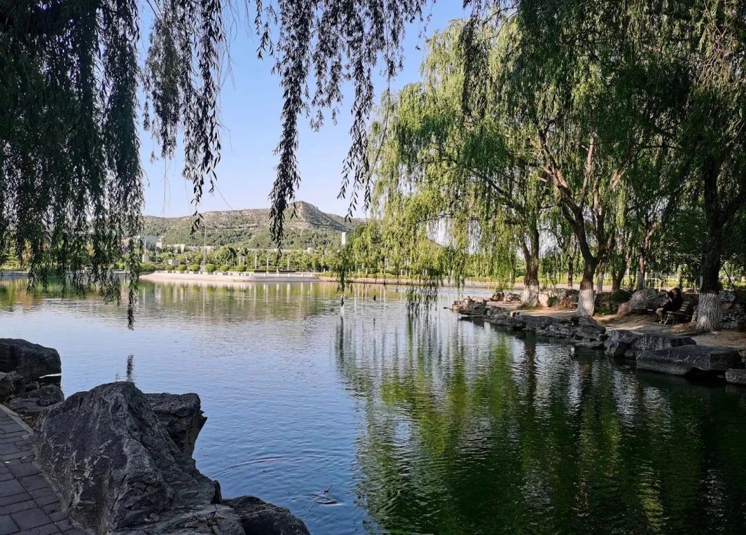 属于你我的，山师四季