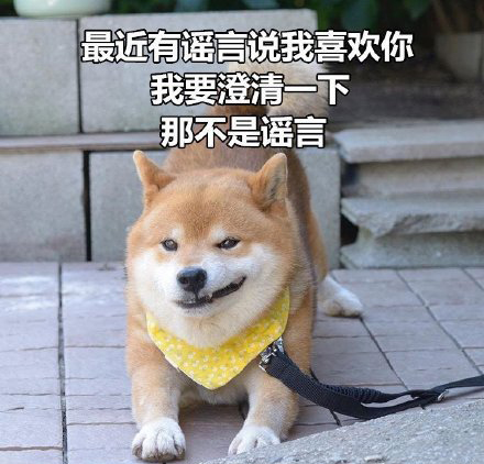 柴犬土味情话表情包合集｜你知道我的缺点是什么吗？