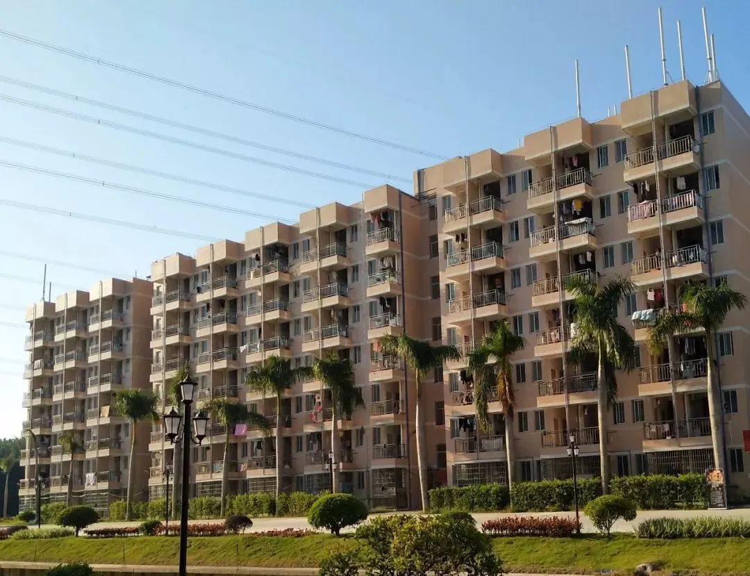 高职高考必看｜广州东华职业学院