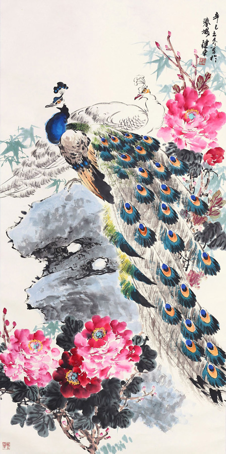 孔雀东南飞！高贵、冷艳的白孔雀