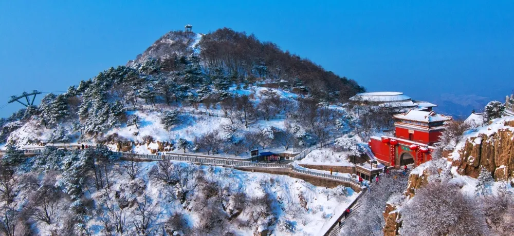 5块钱的泰山，为什么在现实中看不到？