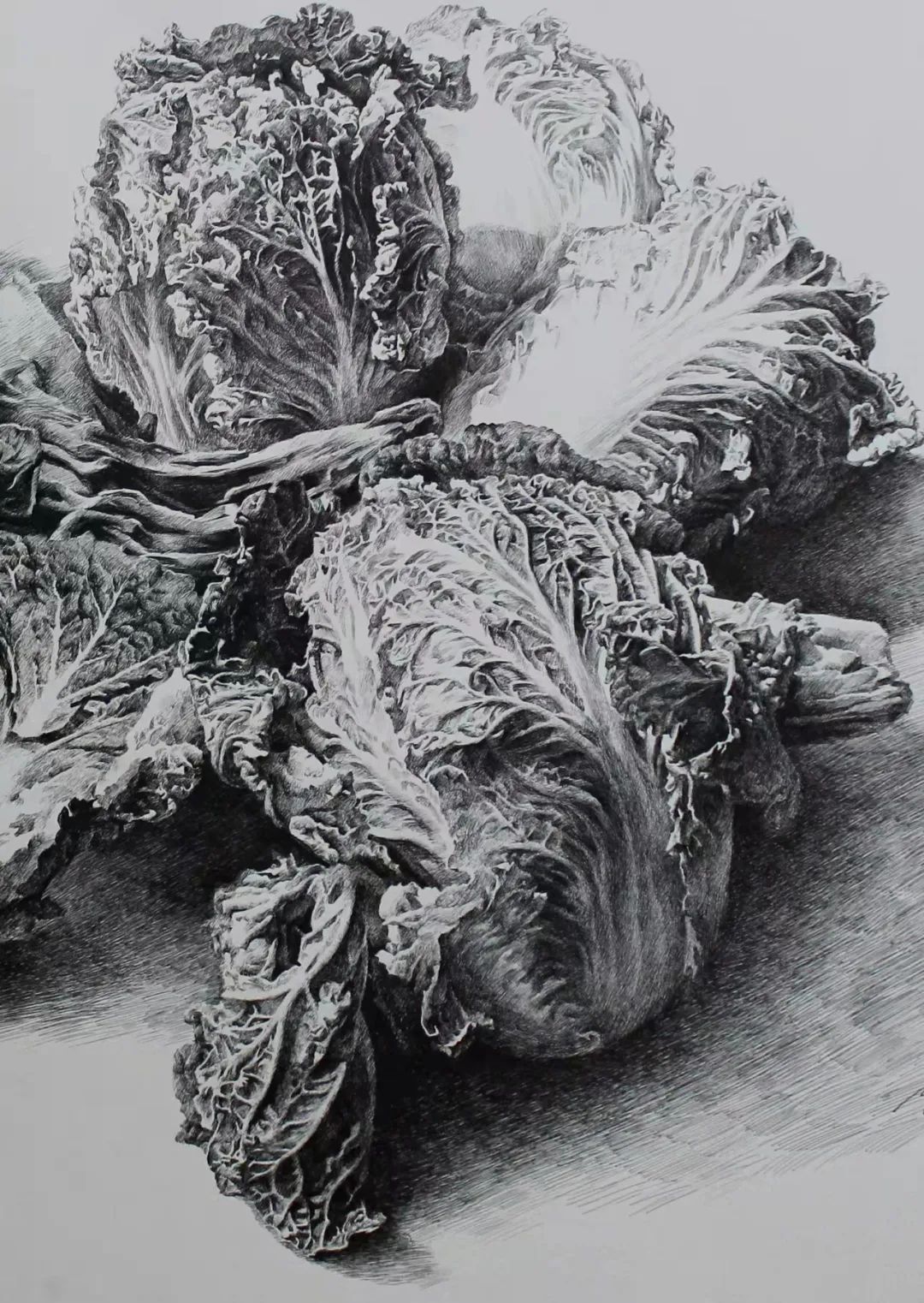 六位钢笔画艺术家的作品-zhuofu6058439