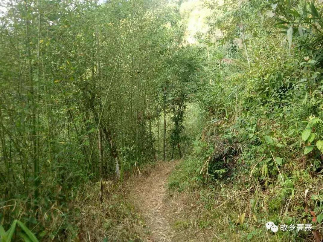 乡间小路，是游子回家的路，是村民追求梦想、走向未来的希望之路