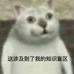 吃惊小猫表情包