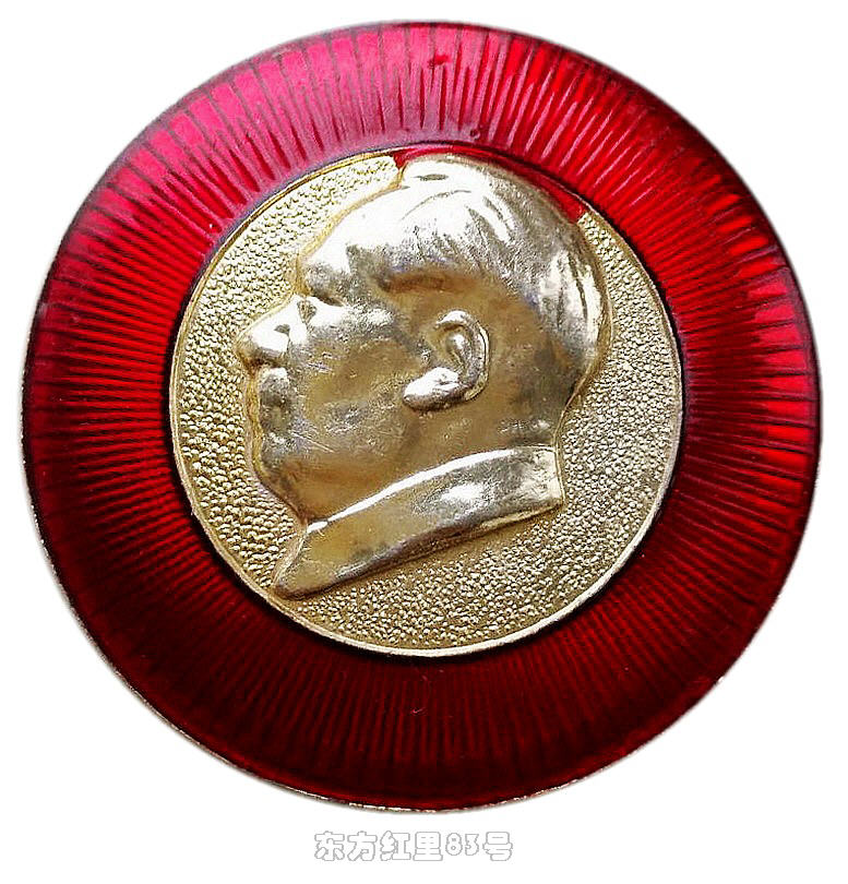 像章铭记｜沈阳药学院出品的对章-章面主体相同，只是上色有区别