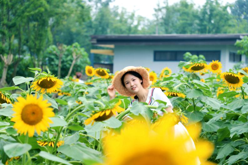 中南财经政法大学财政税务学院（入职外交部）