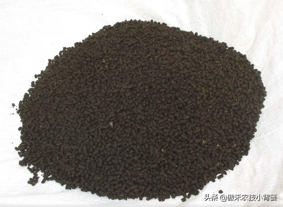菌種購買,菌種購買網(wǎng)站
