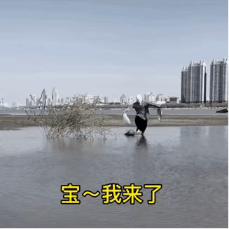 表情包：别的女孩生气了会撒娇，我不行我删好友，还会和你犟到底