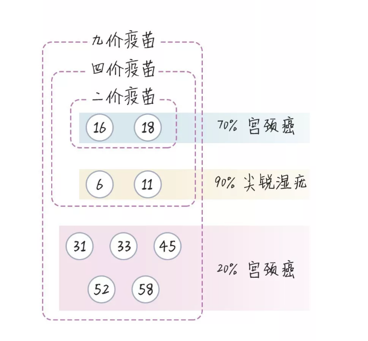 接种HPV疫苗多少钱一针？