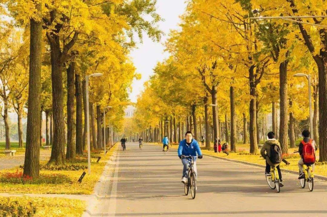 探寻北京老建筑：北京高校之一：清华大学（原清华学堂）