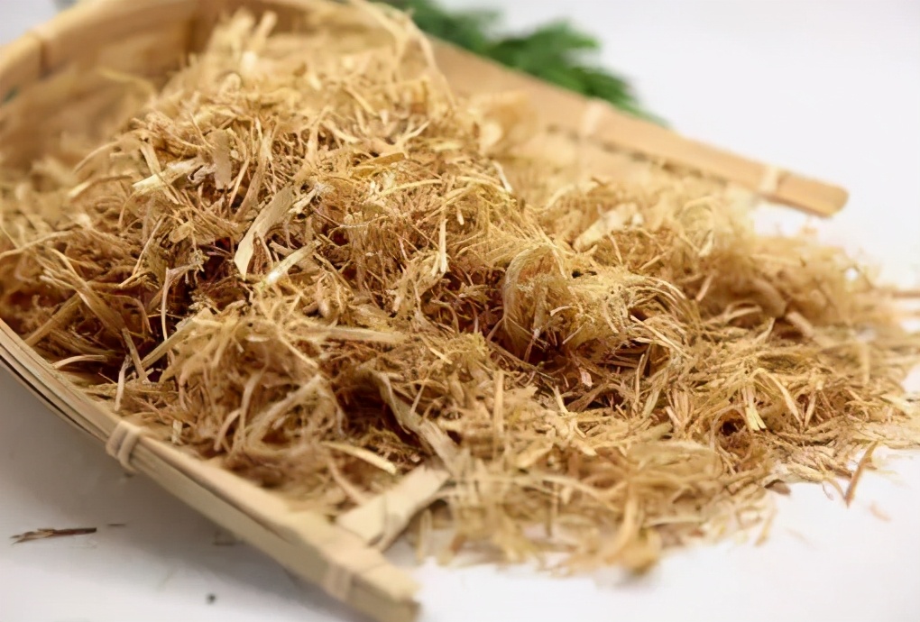 淡竹茹的功效与作用-我的快乐小窝