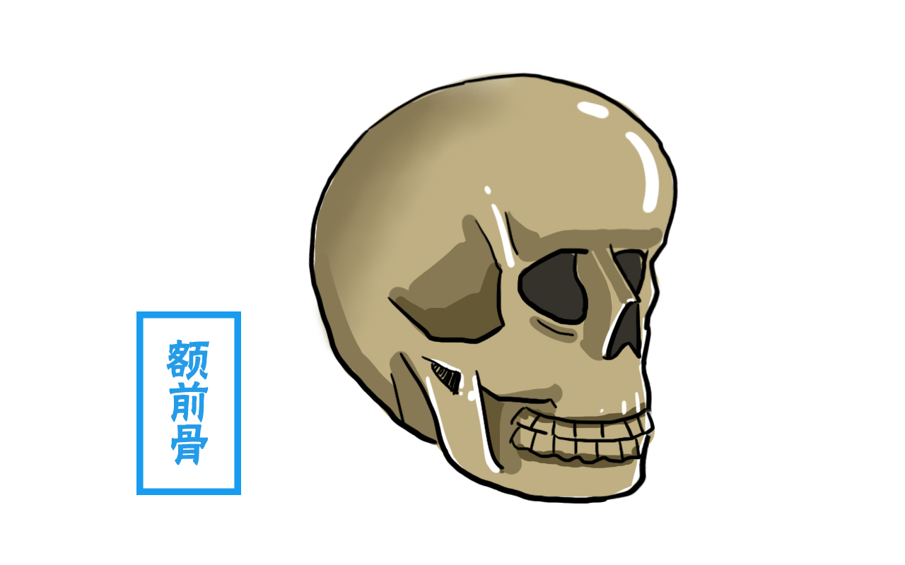 脑后反骨(脑后反骨图片)