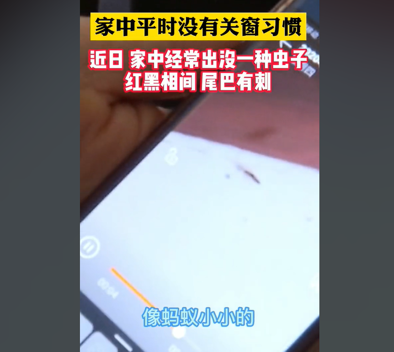 两个月婴儿全身溃烂有脓，妈妈称家里不关窗，被“毒虫”趁虚而入