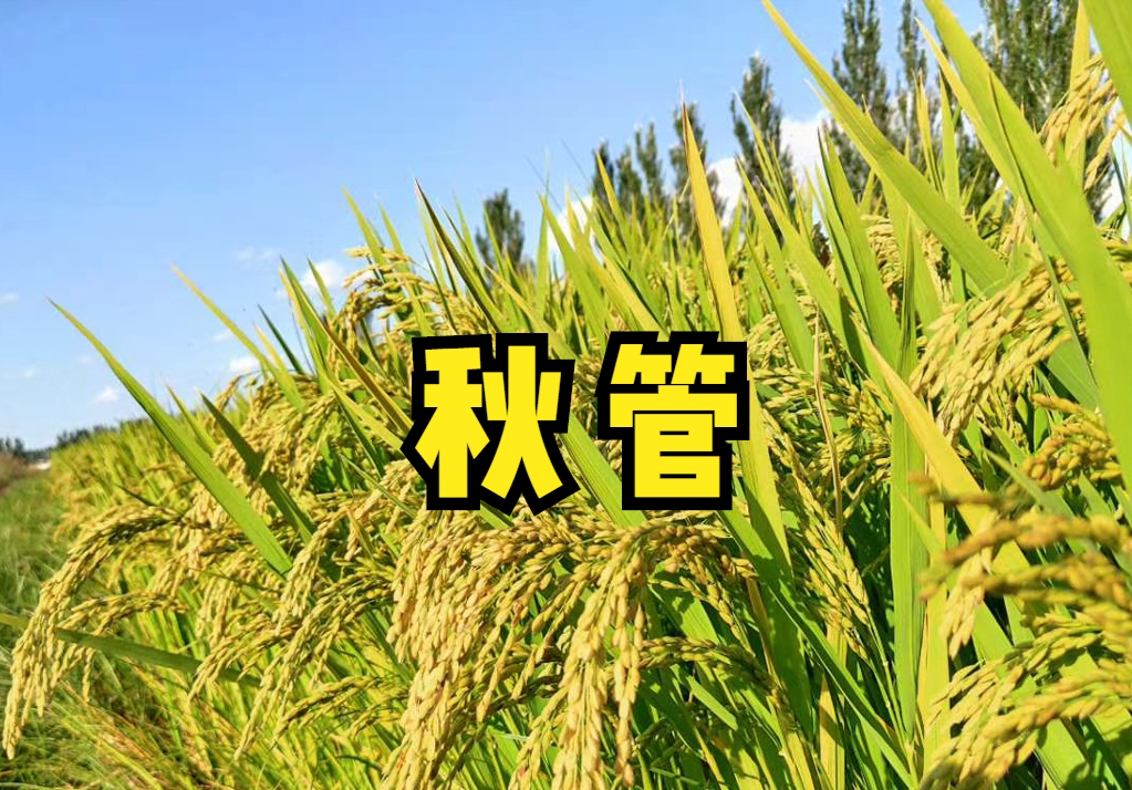 農事活動包括哪些,