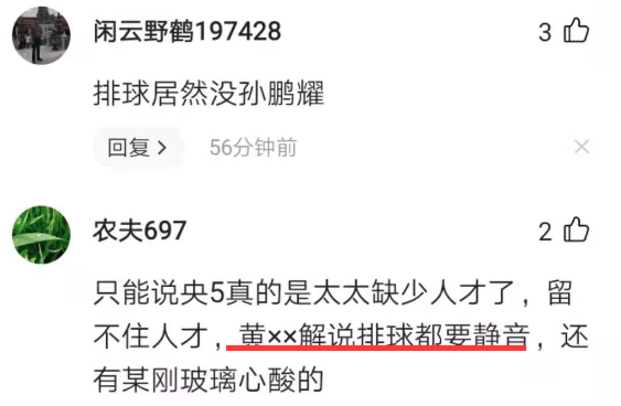 黄子忠简介(确定了！央视女排比赛由黄子忠解说，新人王无缘，网友：我要静音)