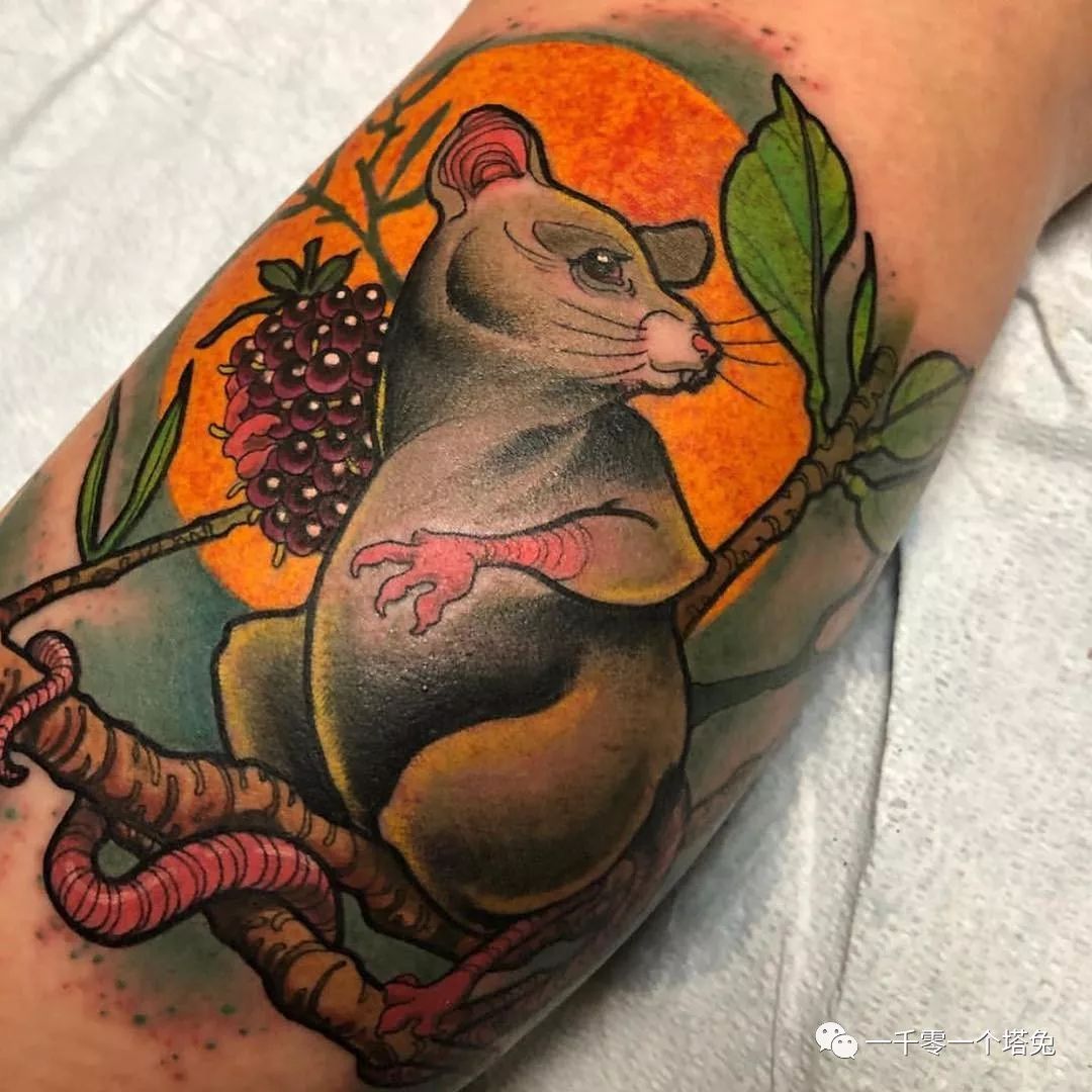 鼠年本命年纹身有什么禁忌?与鼠相合相冲的生肖是哪些?_达一风水网