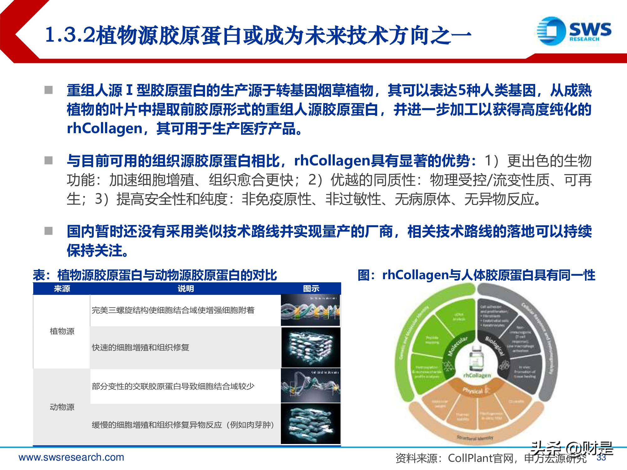 胶原蛋白行业深度研究报告：生物医药材料下一个风口