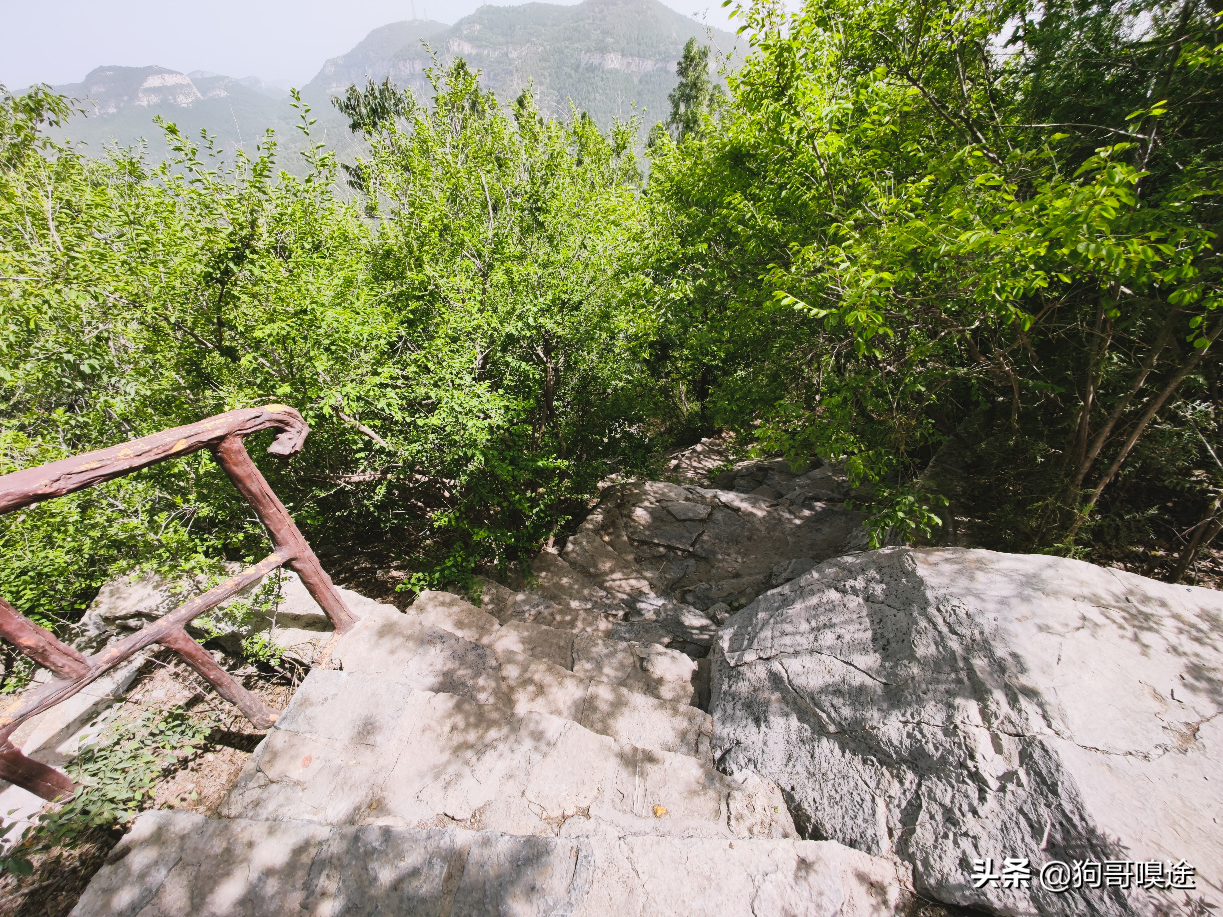 济南市区南部有座千年名山，是济南的地标景点，可以俯瞰市区全貌