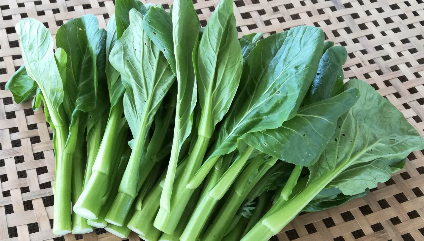 广东菜心这样做才好吃，简单美味又下饭，好吃极了