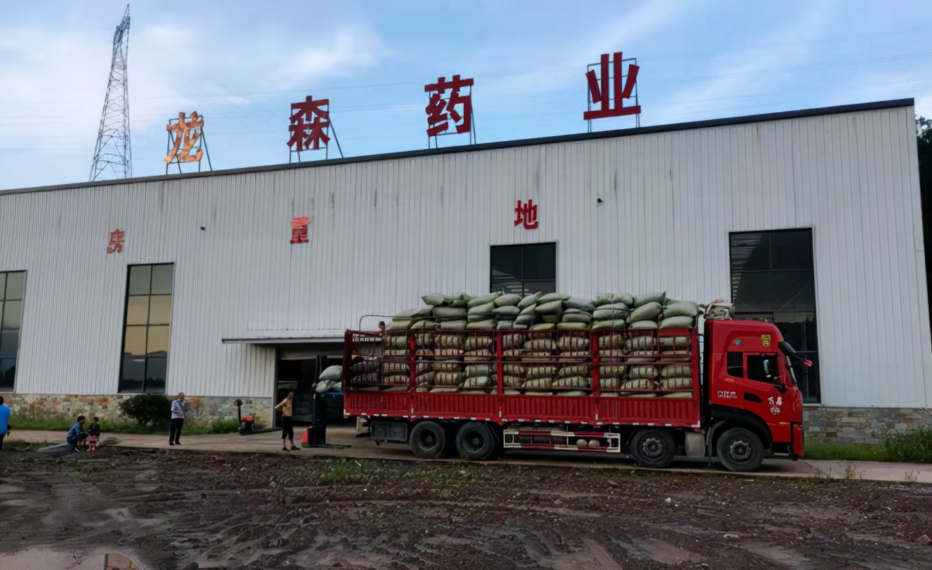 达州：把好中医药产业的“脉”开好乡村振兴的“方”