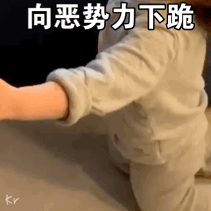 305_305gif 动态图 动图