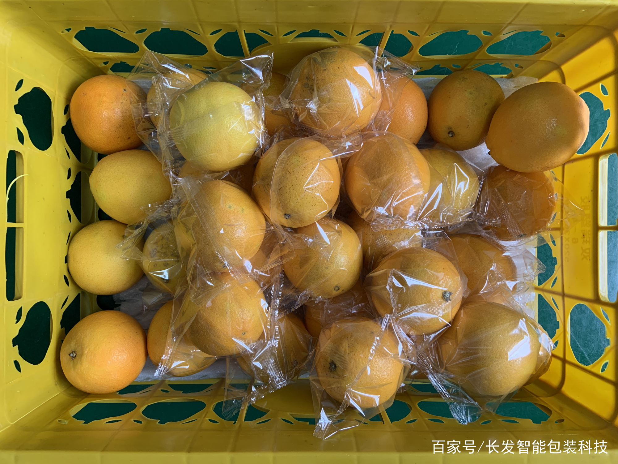 水果包装机 圆形水果包装解决方案