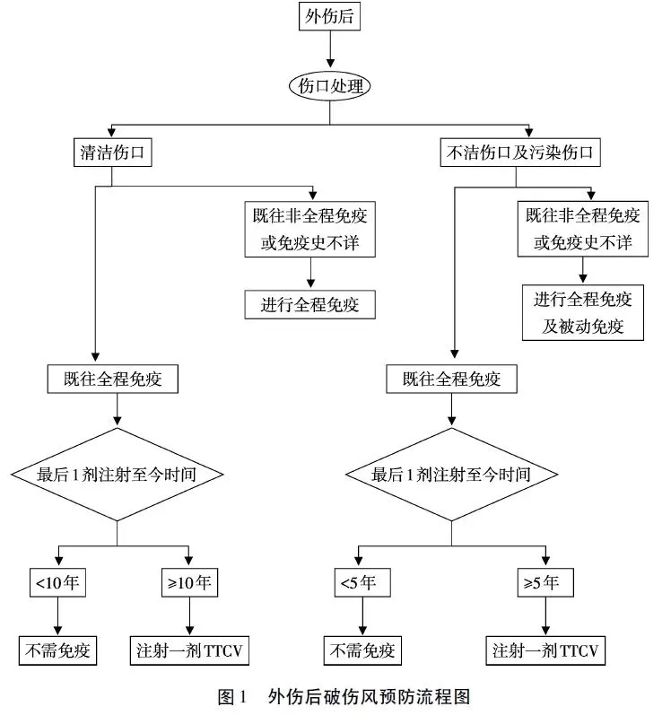 割伤了，这些情况要打“破伤风针”，做错有风险