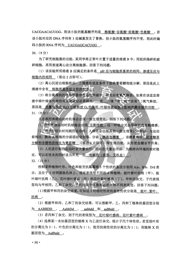 2020高考全国Ⅰ、Ⅱ卷答案汇总