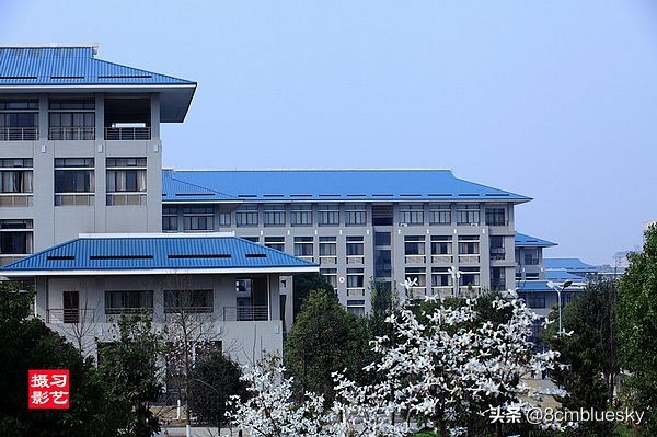 未来大有可为，中医药类高校大盘点（十六）——湖北中医药大学