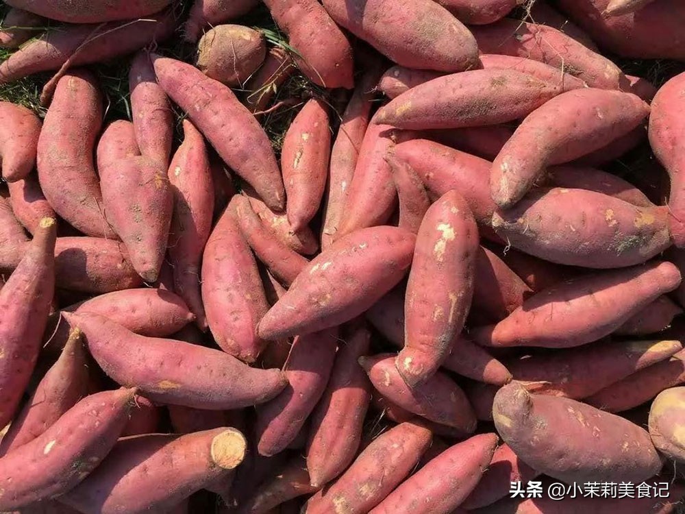 全国哪里的红薯最好吃，经过评比这5个地方比较出名，你都吃过吗