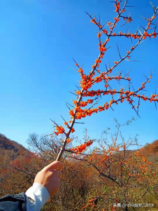 思念，总把星空缀满