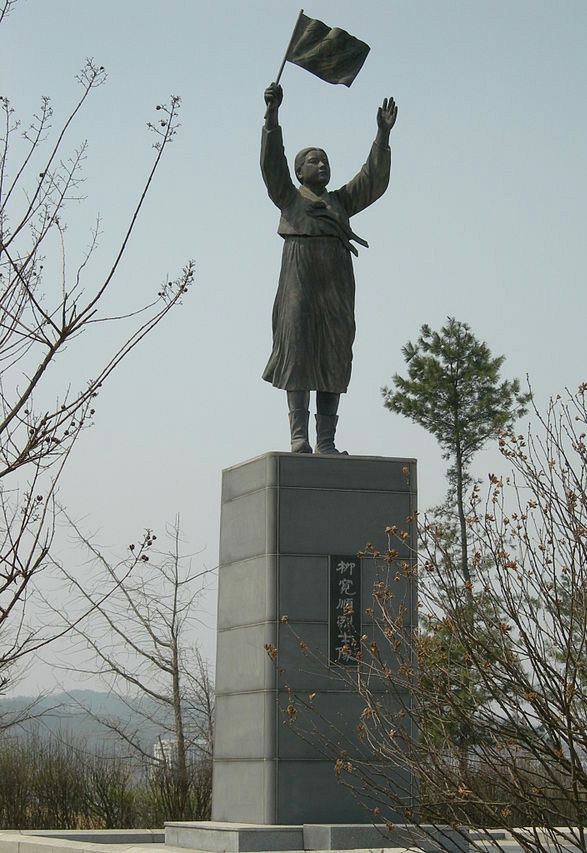 “韩国总统夫人院校”