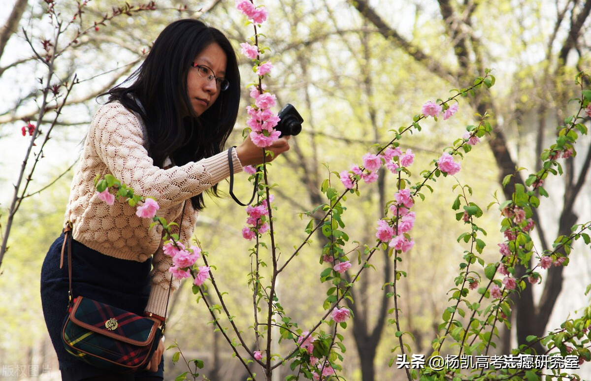 天津大学在贵州录取详细分数及录取名次