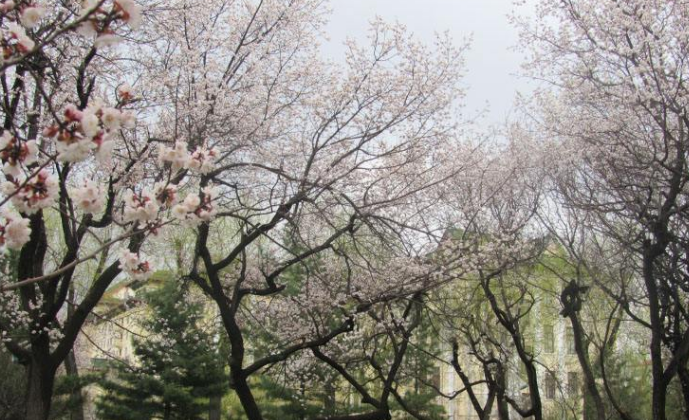 哈尔滨医科大学2018年本科招生录取分数