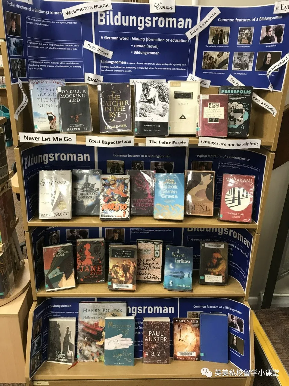 明星子女都读的德威公学，带你逛逛它的图书馆，顺便带走这份书单