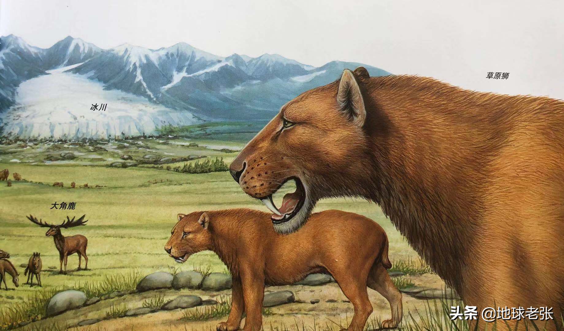 第四纪冰期时间此时期气候是影响地质面貌最重要的因素