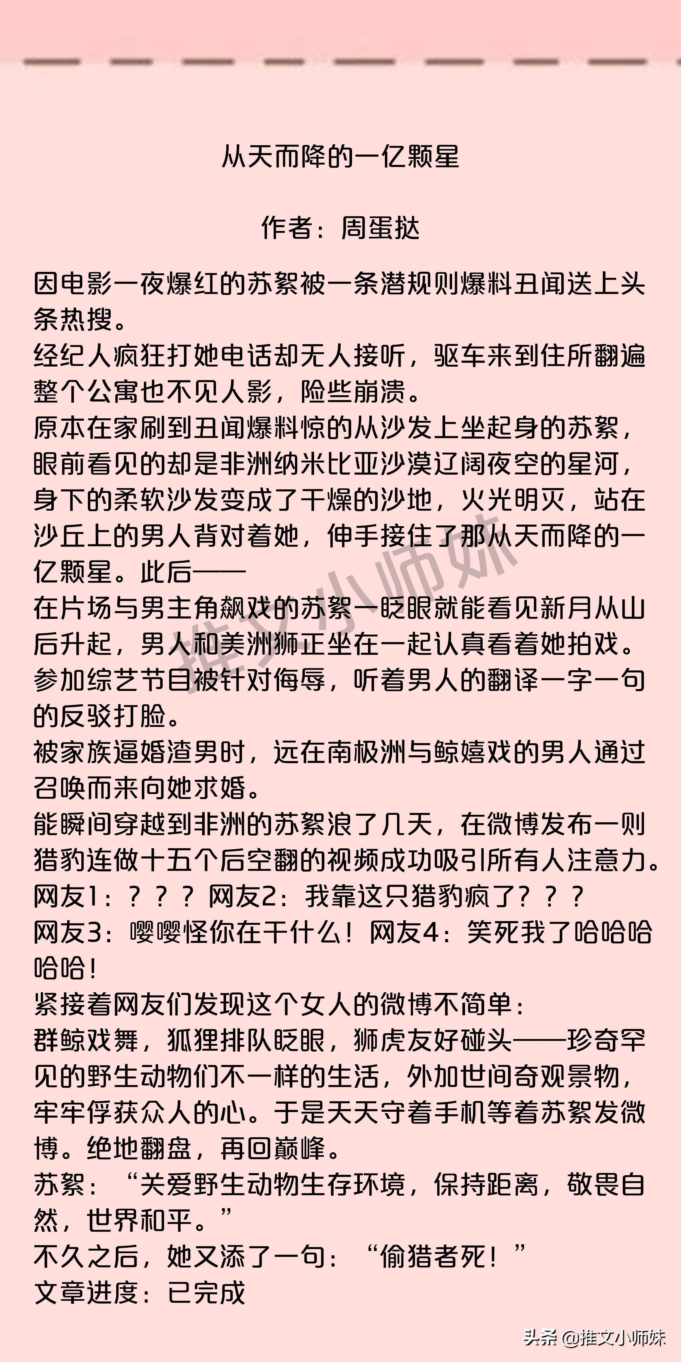 高糖合集|娱乐圈甜宠文，做爱豆背后的女人，宠他，守护他