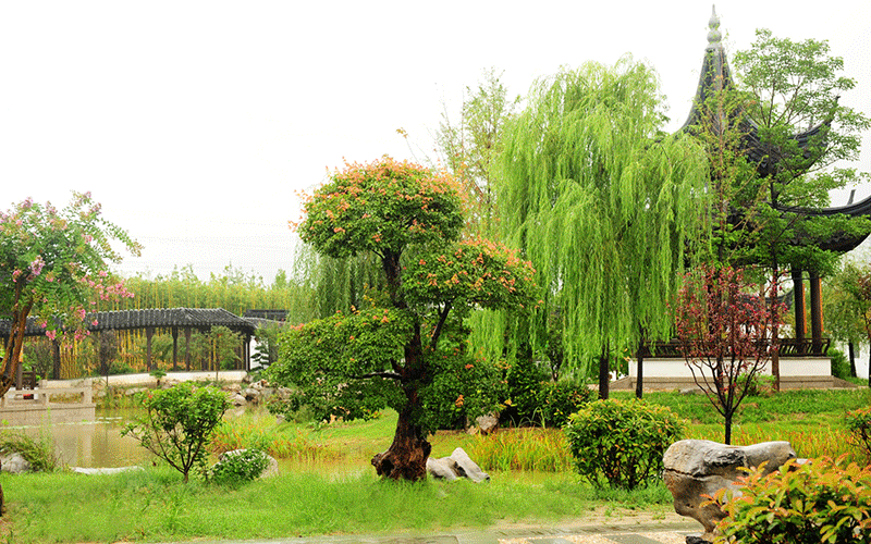 第三期「自然教育师」线下培训