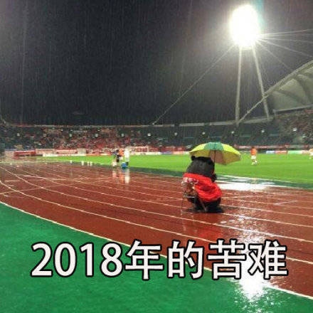 熊本熊表情包：2018年的磨难，成就了2019年的高度