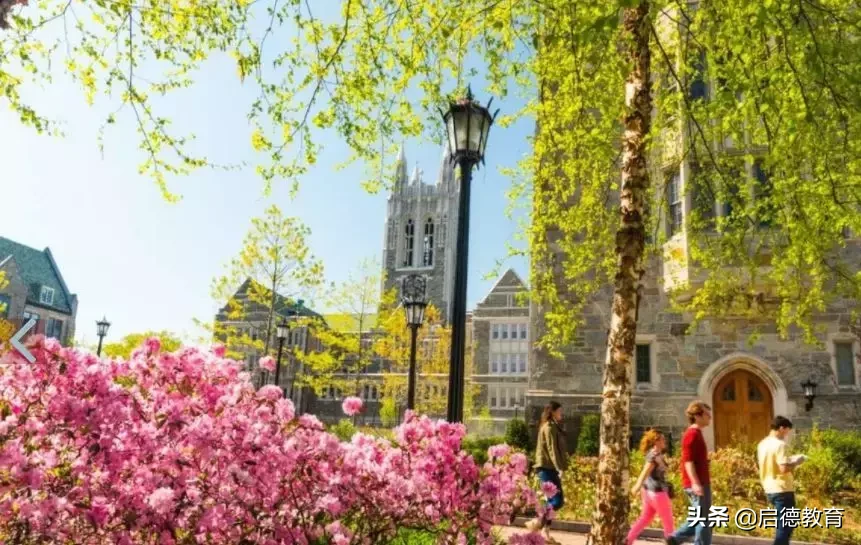 「院校介绍」波士顿学院：像秃鹰般俯视一切