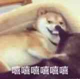 别说英语太难学，告诉你一些相见恨晚的英语学习网站