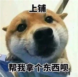 寝室关灯表情包