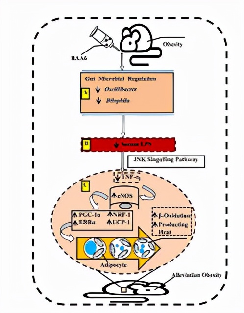 从被制约到领先国际，这所“国字号”大学创下多个“首次”，打破国外垄断！