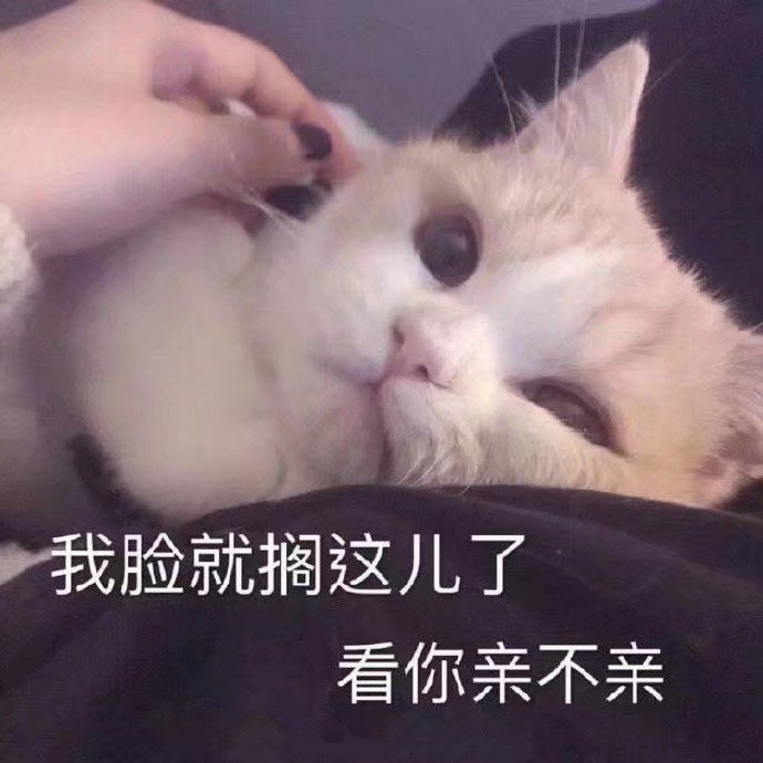 表情包：我只是一只对生活没追求的肥猫